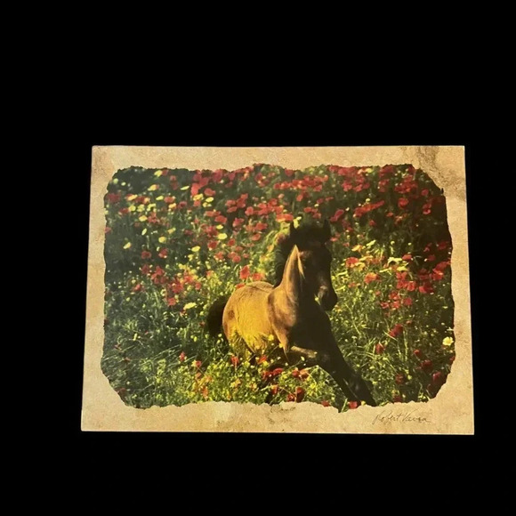 Horse Galloping Combo Pack VTG Leanin' Tree Greeting Card & Magnet Robert Vavra - Picture 2 of 16